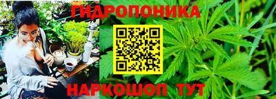 герыч Аргун