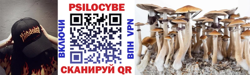Псилоцибиновые грибы Psilocybine cubensis  купить наркотики сайты  Асино 
